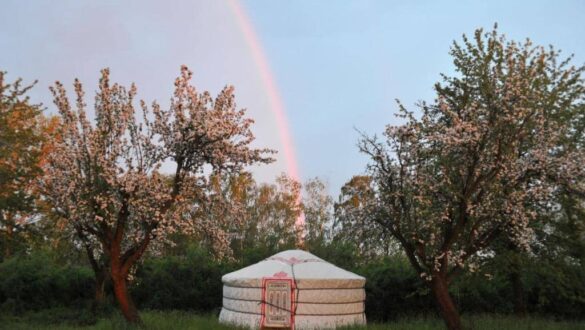 Jurty v Sadu, Český Brod